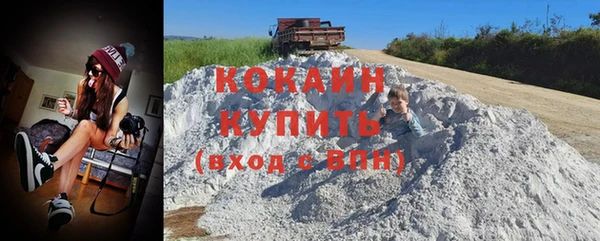 прущие грибы Баксан