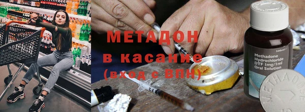прущие грибы Баксан