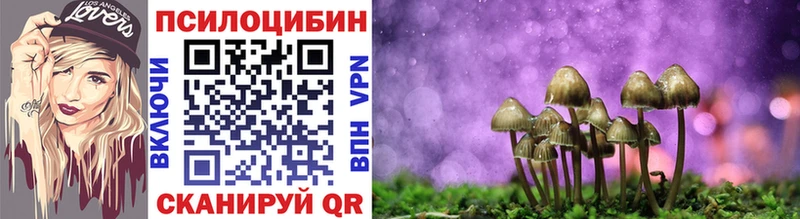 Псилоцибиновые грибы Psilocybe  купить  цена  Белогорск 
